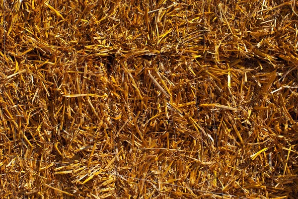 黄色干草的质地 干草被收集在干草的排水中 — 图库照片