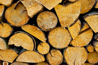 Yakından bakınca bir sürü odun kesiliyor. Kış için odun topluyorum. Şömine için kuru odun. Yakacak odundan dekoratif duvar.