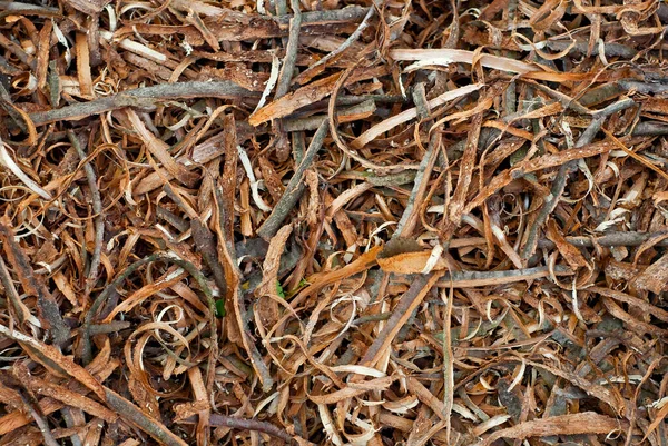 Limbah Kayu Pabrik Tekstur Thistle Sisa Sisa Kayu Setelah Pengolahan — Stok Foto