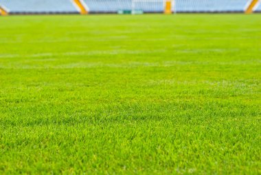 Soccer field texture close up. Grass in the stadium. Finely mown lawn for sports grounds. clipart