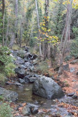 Millomeris şelalesi, Pano Platres, Kıbrıs 'a giden doğa yolu manzarası.