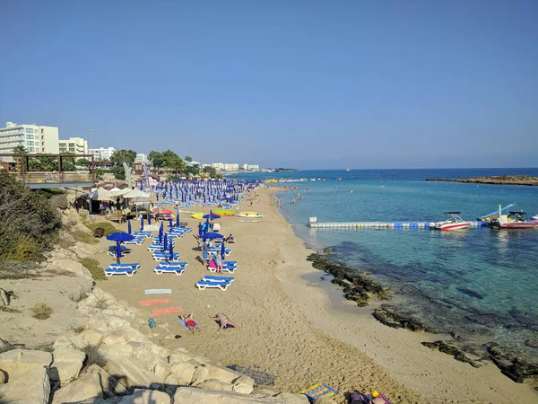 Protaras Cyprus October 2019 View Fig Tree Beach Sunny Day — 图库照片