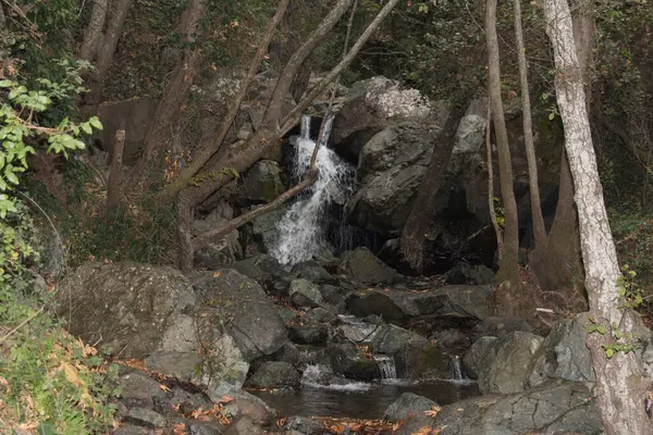 Het Uitzicht Snelle Rivier Door Stenen Het Bos Pano Platres — Stockfoto