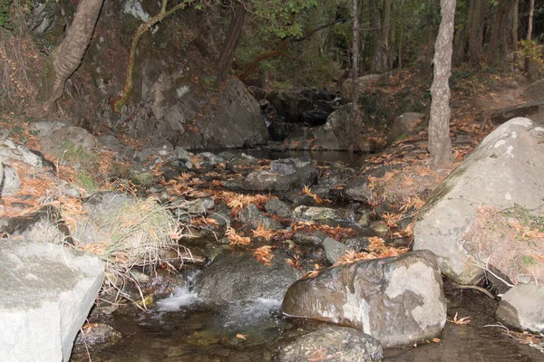 Der Blick Auf Den Naturlehrpfad Zum Millomeris Wasserfall Pano Platres — Stockfoto