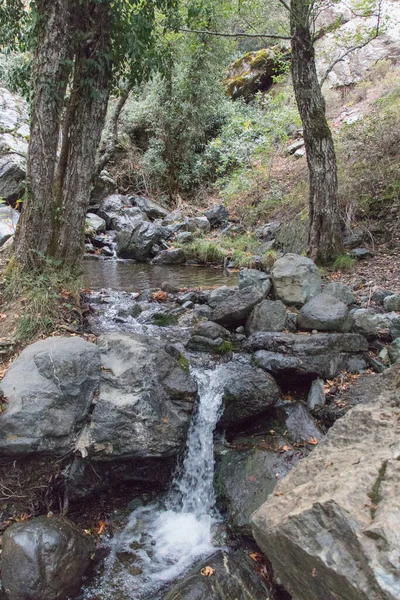 Der Blick Auf Den Schnellen Fluss Durch Steine Wald Pano — Stockfoto
