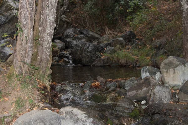 Vista Trilha Natureza Para Cachoeira Millomeris Pano Platres Chipre — Fotografia de Stock