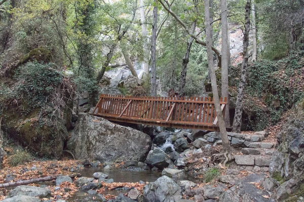 ストリーム上の橋の眺め ミロメリス滝 パノプレート キプロスへの自然歩道 — ストック写真