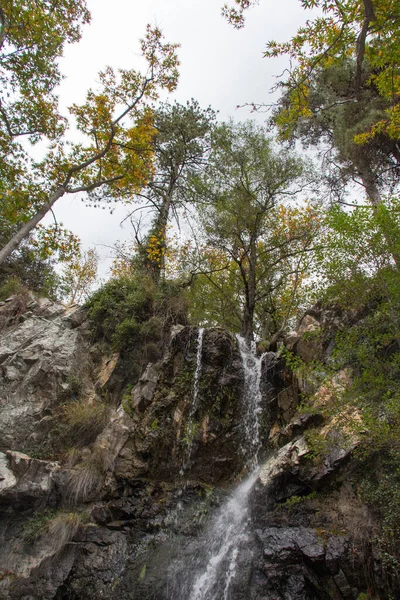 Vue Ruisseau Tombé Chemin Naturel Vers Cascade Millomeris Pano Platres — Photo