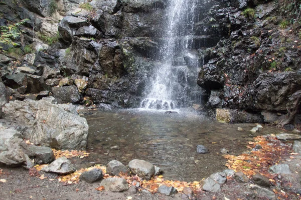 Close View Stream Fallen Nature Trail Millomeris Waterfall Pano Platres — Stock Photo, Image