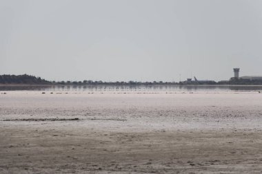Güneşli bir günde tuz gölü manzarası, Larnaca, Kıbrıs.