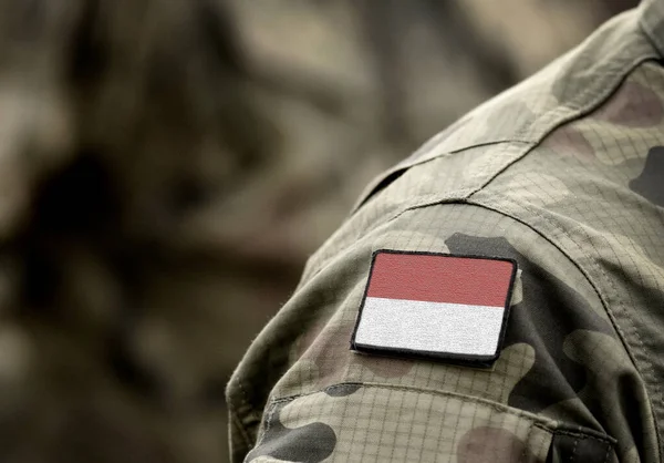 Vlag Van Indonesië Militair Uniform Leger Troepen Soldaten Collage — Stockfoto