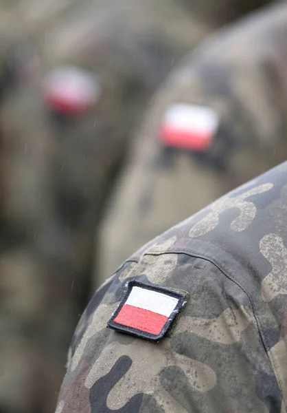Forças Armadas Polacas Forças Armadas República Polónia Bandeiras Polônia Uniforme — Fotografia de Stock