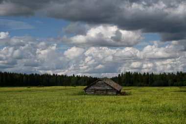 Lapland, Finlandiya 'da kulübesi olan bir manzara. Ormanda ahşap kulübesi olan tipik Finlandiya manzarası