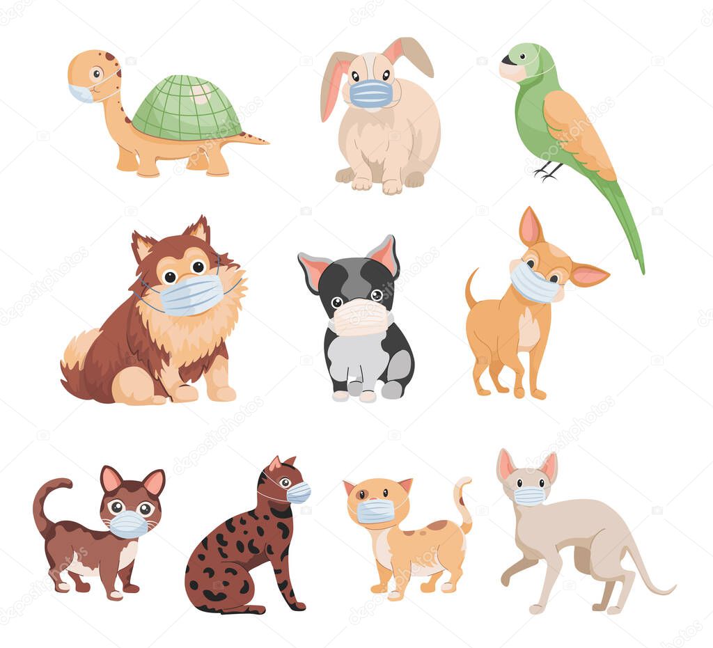 Set of cute little domestic pets in medical masks vector flat illustration isolated on white background.