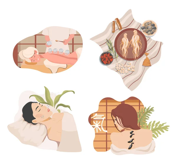 Tradiční čínské nebo orientální alternativní medicína vektor ploché ilustrace. Kořen ženšenu, lékařské byliny a semena. — Stockový vektor