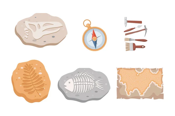 Peces fósiles y dinosaurios esqueletos y plantas, brújula, mapa y herramientas arqueológicas vector ilustración plana. — Vector de stock