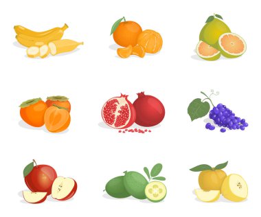 Muz, portakal, guava, hurma, nar, üzüm, elma, nar ve feijoa vektör çizimleri..