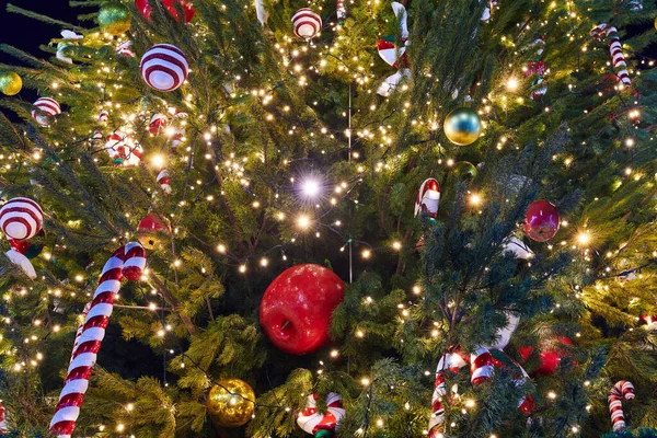 Karácsonyfa Díszített Koszorúk Karácsonyi Cukorka Különböző Baubles Újévi Dekoráció Közelkép — Stock Fotó