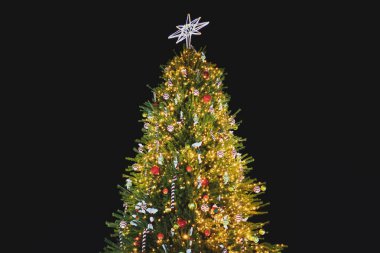 Çelenklerle süslenmiş güzel Noel Ağacı, Noel şekeri ve farklı renklerde mücevherlerle süslenmiş. Yeni yıl süslemeleri. Siyah arkaplan.