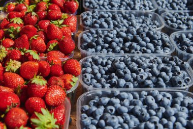 Güneşli bir günde pazar yerinde böğürtlen ve çilek dolu plastik kutular. Çiftçi ürünleri.