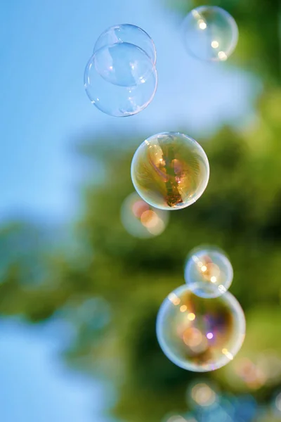 Beautiful soap bubbles background on a sunny day. A lot of bubbles in the air. Blurred background. Childhood concept photo. Vertical background.