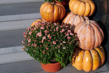 Evin yanında çiçekli bir yığın balkabağı. Cadılar Bayramı ve tatilden önce ev dekorasyonu. Yakın çekim..