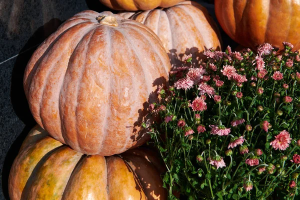 Evin yanında çiçekli bir yığın balkabağı. Cadılar Bayramı ve tatilden önce ev dekorasyonu. Yakın çekim..