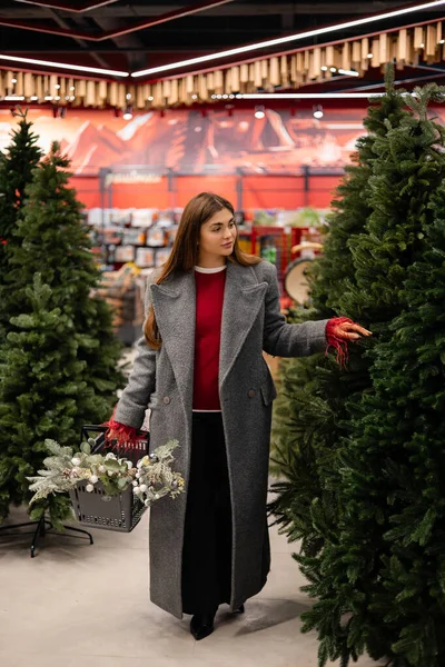 Noel ağacı seçen genç bir kadın elinde şenlikli süslemelerle dolu bir alışveriş sepeti tutuyor..