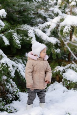 Sıcak ceket ve şapka giymiş, karlı bir kış ormanında yürüyen bir çocuk. Soğuk bir günde doğayı keşfeden bir çocuk. Doğal açık hava kış anı..