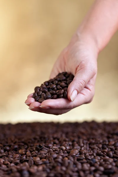 Kvinna hand med kaffebönor — Stockfoto