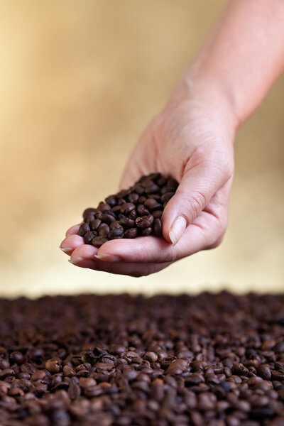 Woman hand with coffee beans