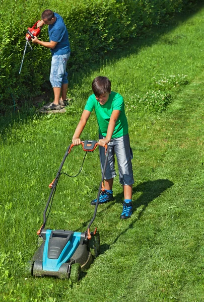 Мальчик стрижет газон, пока его отец стрижет изгородь. — стоковое фото