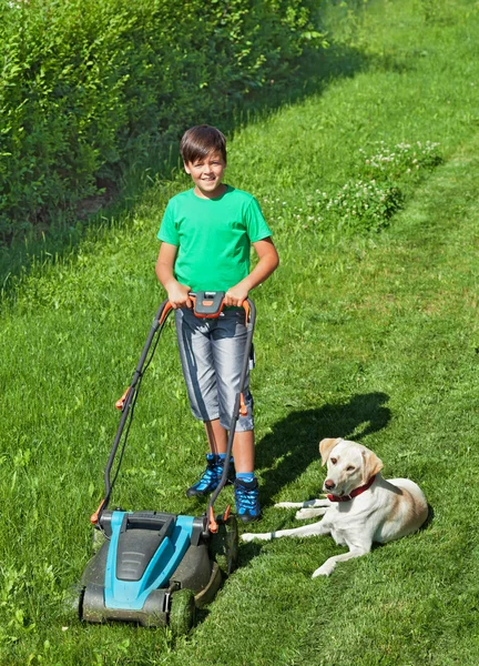 Młody chłopiec koszenia trawnika towarzyszy jego piesek labrador — Zdjęcie stockowe