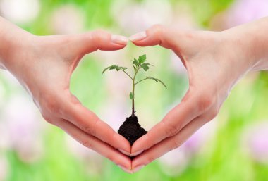 çevre bilinci ve koruma kavramı