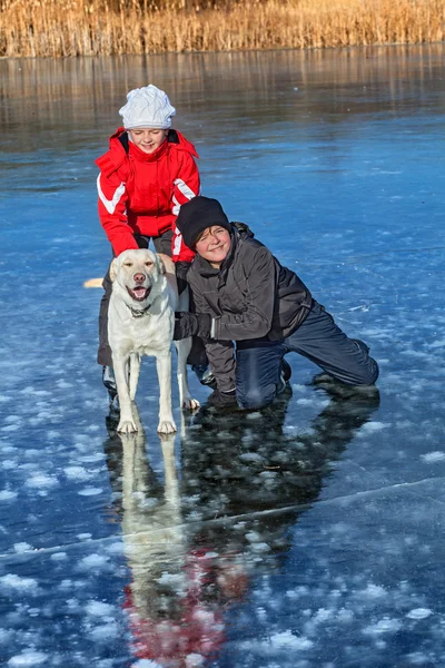 Barnen på den frusna sjön skridskor med sin hund — Stockfoto