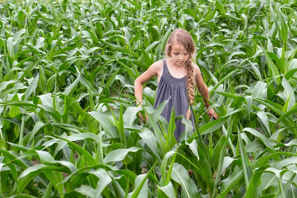 Menina agricultor inspecionando o milho em crescimento — Fotografia de Stock