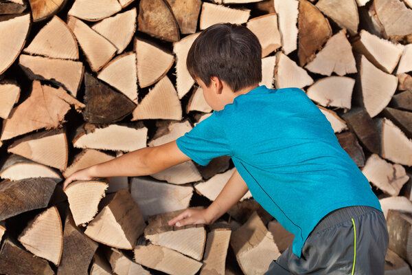 Young boy stacking firewood in the shed