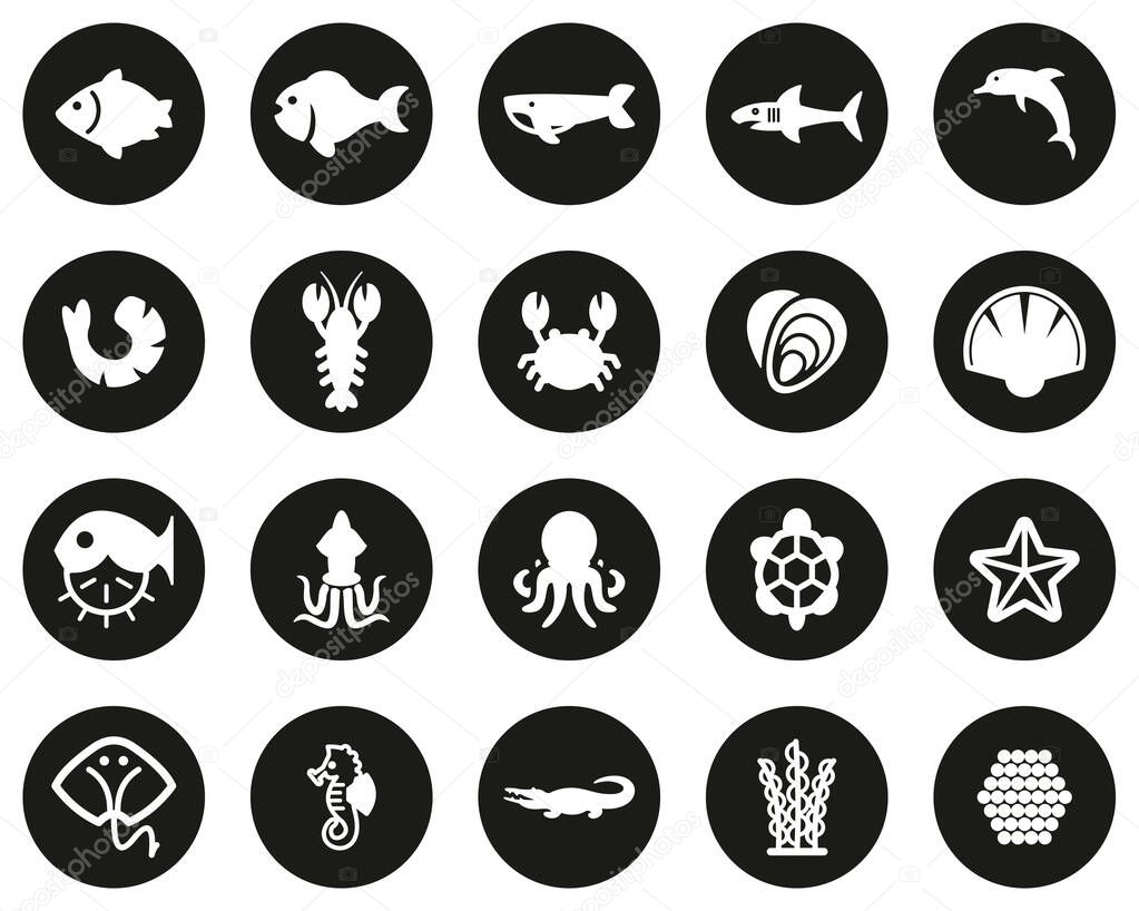 Sea Life & Seafood Icons White On Black Flat Design Circle Set Big