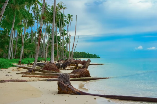 Tropisch strand na Tsunami — Stockfoto