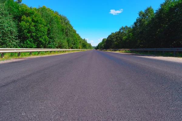 Carretera vacía y bosque verde —  Fotos de Stock