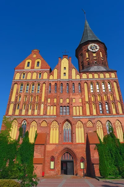 Catedral gótica em Kaliningrado — Fotografia de Stock