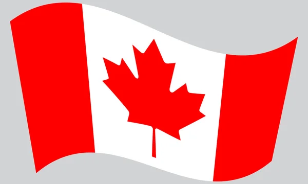 Kanada sallayarak bayrak — Stok Vektör