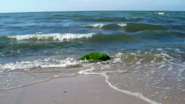 Море, хвилі і каміння — стокове відео