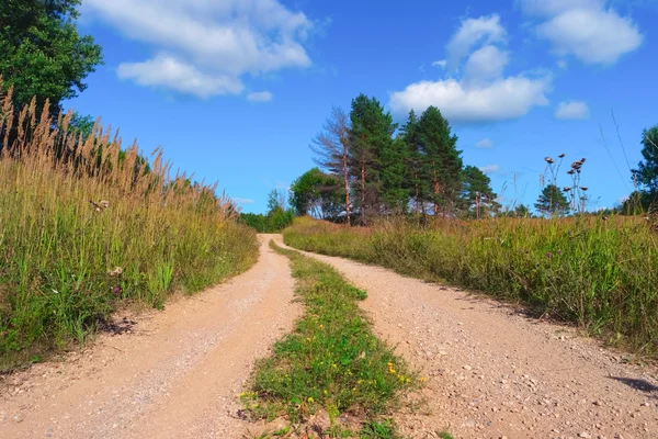 Hermoso paisaje de verano —  Fotos de Stock