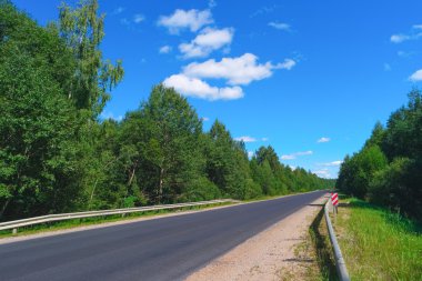 Boş otoyol ve yeşil orman