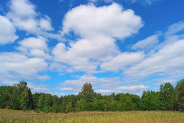 하늘, 구름, 잔디와 나무 여름 풍경 — 스톡 사진
