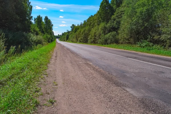 Carretera vacía a través del bosque verde —  Fotos de Stock