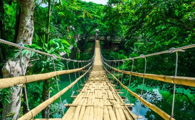 Bamboo hanging bridge over river in tropical forest clipart