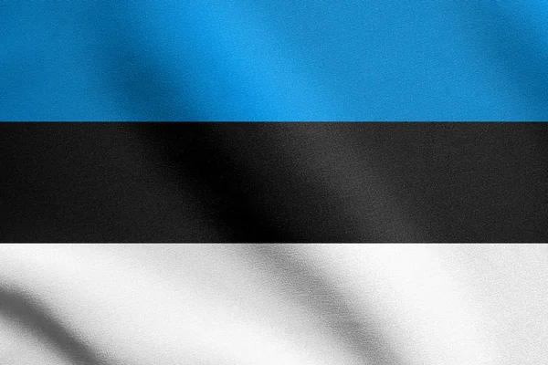 爱沙尼亚在挥舞着国旗风与织物纹理 — 图库照片