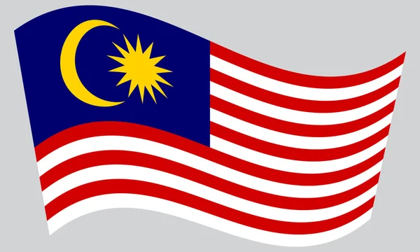 Flag of Malaysia waving on gray background — Stock Vector